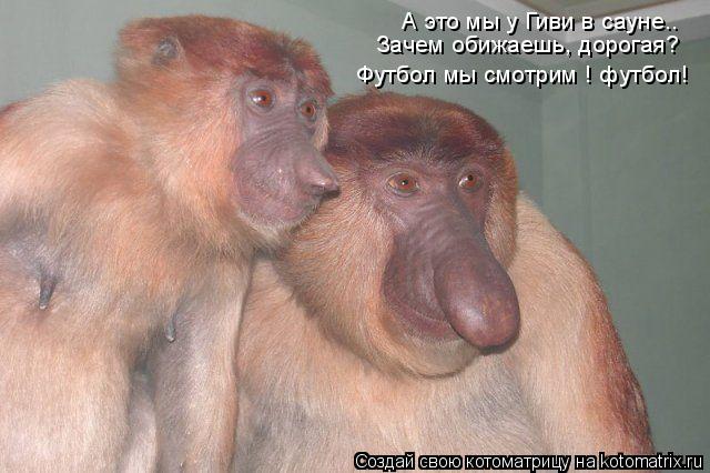Котоматрица: А это мы у Гиви в сауне.. Зачем обижаешь, дорогая? Футбол мы смотрим ! футбол!