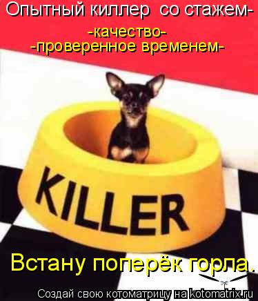 Опытный киллер со стажем- Встану поперёк горла. -качество- -проверенное временем-... Котоматрица: Опытный киллер со стажем- Встану поперёк горла. -качество- -проверенное временем-