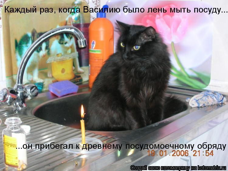 Каждый раз, когда Василию было лень мыть посуду... ...он прибегал к древнему посудомоечному обряду... Котоматрица: Каждый раз, когда Василию было лень мыть посуду... ...он прибегал к древнему посудомоечному обряду