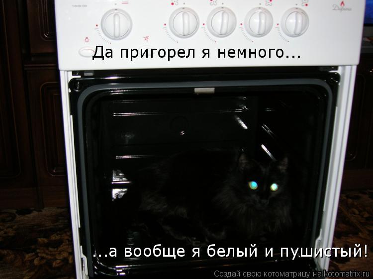 Да пригорел я немного... ...а вообще я белый и пушистый!... Котоматрица: Да пригорел я немного... ...а вообще я белый и пушистый!