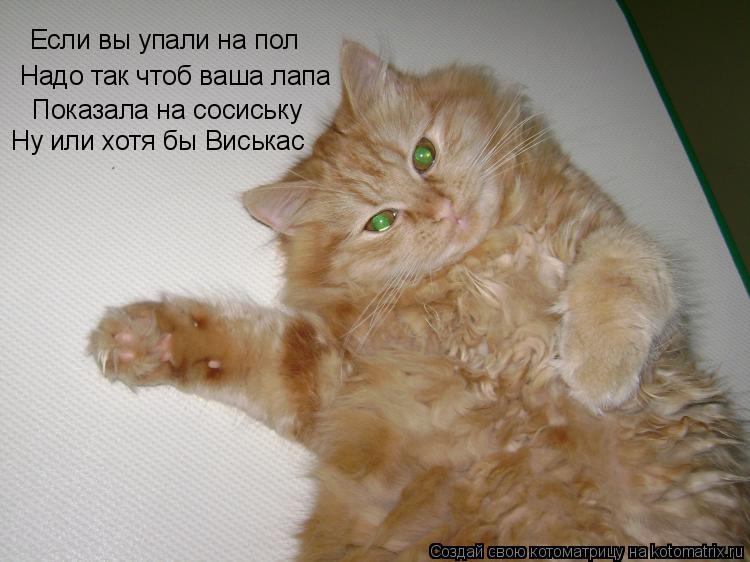 Если вы упали на пол Надо так чтоб ваша лапа Показала на сосиську Ну или хотя бы Виськас... Котоматрица: Если вы упали на пол Надо так чтоб ваша лапа Показала на сосиську Ну или хотя бы Виськас