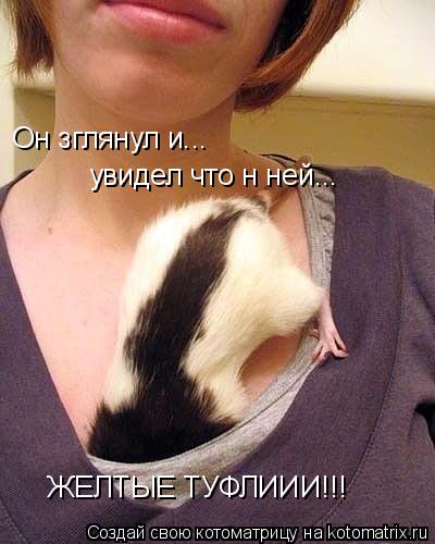Котоматрица: Он зглянул и... увидел что н ней... ЖЕЛТЫЕ ТУФЛИИИ!!!