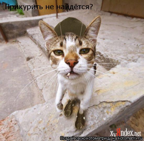 Котоматрица: Прикурить не найдётся?