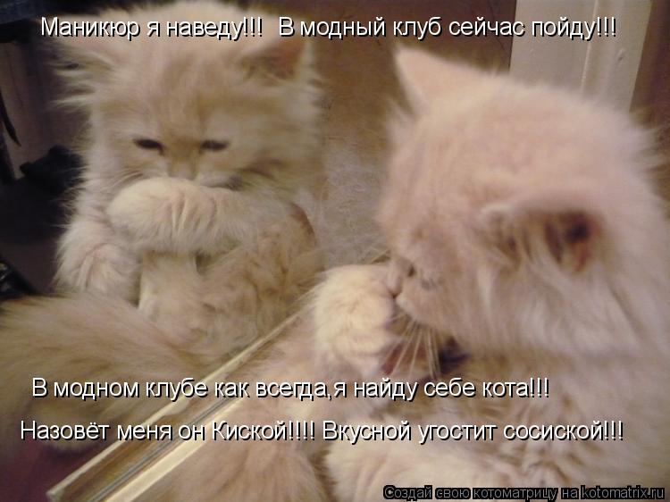 Котоматрица: Маникюр я наведу!!! В модный клуб сейчас пойду!!! В модном клубе как всегда,я найду себе кота!!! Назовёт меня он Киской!!!! Вкусной угостит сосис