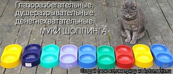 Котоматрица: Глазоразбегательные, душеразрывательные денегнехватательные МУКИ ШОППИНГА
