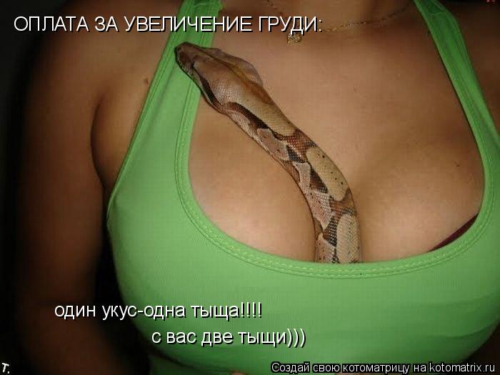 Котоматрица: ОПЛАТА ЗА УВЕЛИЧЕНИЕ ГРУДИ: один укус-одна тыща!!!! с вас две тыщи)))