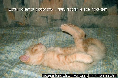 Котоматрица: Если хочется работать - ляг, поспи и все пройдет Если хочется работать - ляг, поспи и все пройдет