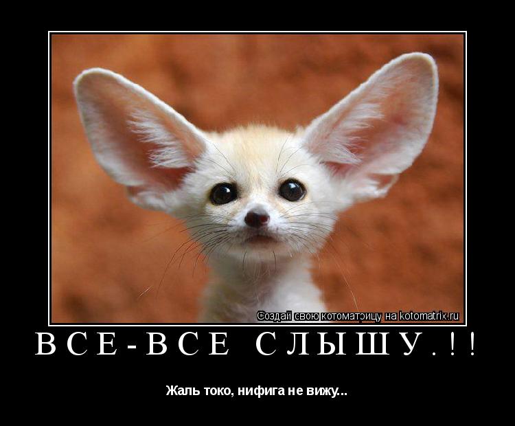 Котоматрица: Всё-всё слышу.!! Жаль токо, нифига не вижу...