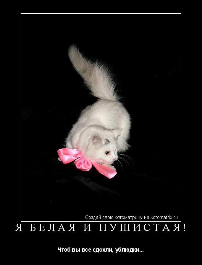 Котоматрица: Я белая и пушистая! Чтоб вы все сдохли, ублюдки...