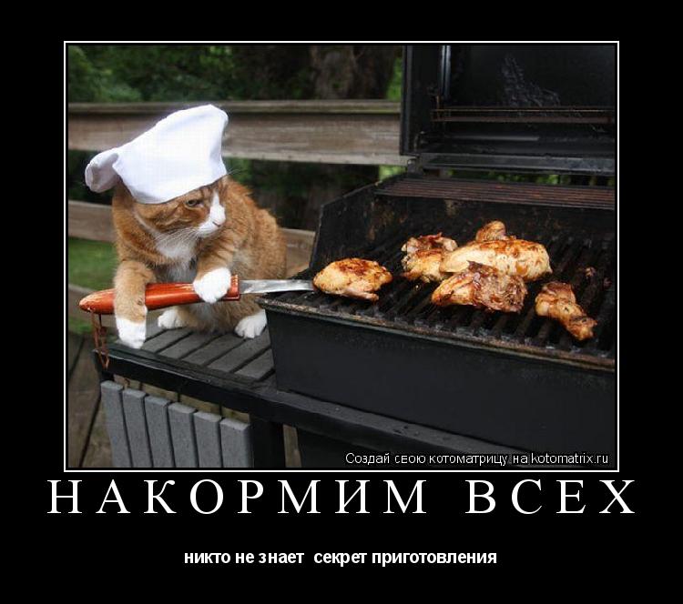Котоматрица: Накормим всех никто не знает  секрет приготовления