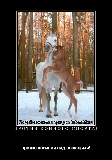 Котоматрица: ПРОТИВ КОННОГО СПОРТА! против насилия над лошадьми!