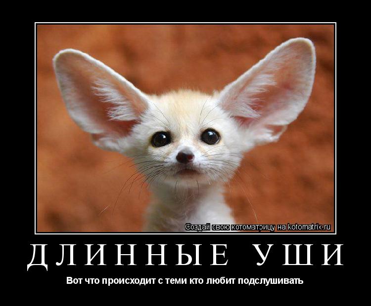 Котоматрица: Длинные уши Вот что происходит с теми кто любит подслушивать