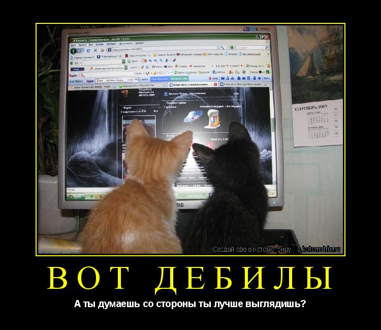 Вот Дебилы А ты думаешь со стороны ты лучше выглядишь?... Котоматрица: Вот Дебилы А ты думаешь со стороны ты лучше выглядишь?