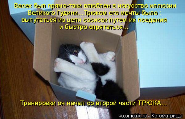 Васек был прямо-таки влюблен в искусство иллюзии Великого Гудини...Трюком его мечты было : Тренировки... Котоматрица: Васек был прямо-таки влюблен в искусство иллюзии Великого Гудини...Трюком его мечты было : Тренировки он начал со второй части ТРЮКА... выпут