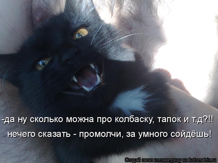 Котоматрица: нечего сказать - промолчи, за умного сойдёшь! -да ну сколько можна про колбаску, тапок и т.д?!!
