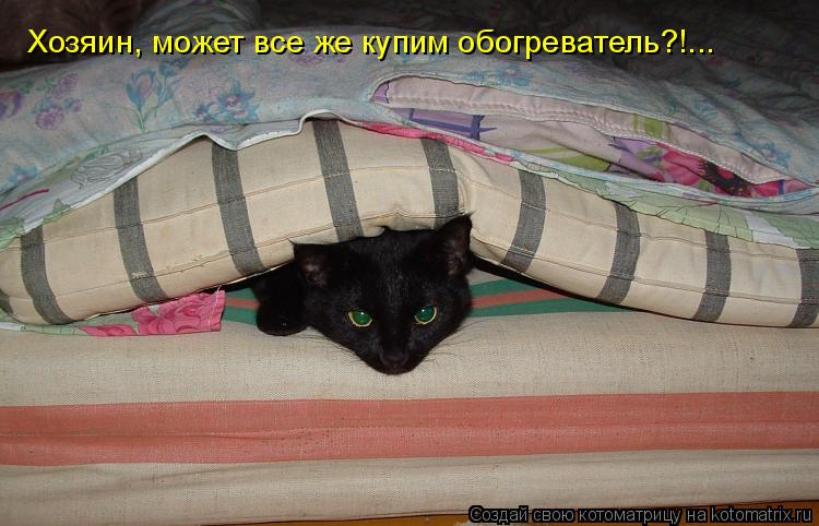 Вот такая вот она - холодная сибирская зима... Тяжело приходится кошкам в холодную сибирскую зиму... ... Котоматрица: Вот такая вот она - холодная сибирская зима... Тяжело приходится кошкам в холодную сибирскую зиму... Тяжело приходится кошкам в холодную сиби