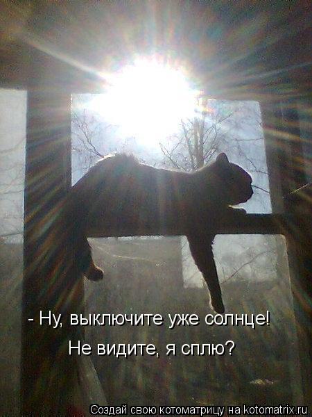 Котоматрица: - Ну, выключите уже солнце! Не видите, я сплю?