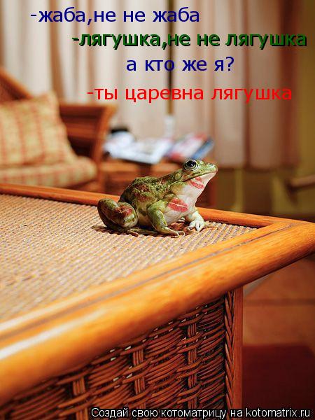 Котоматрица: -жаба,не не жаба -лягушка,не не лягушка а кто же я? -ты царевна лягушка