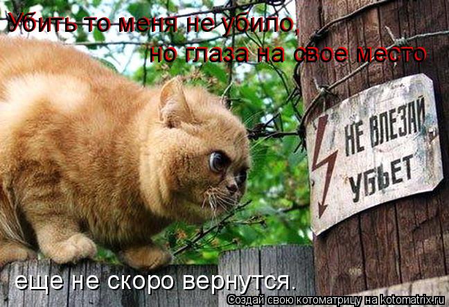 Котоматрица: Убить то меня не убило, Убить то меня не убило, но глаза на свое место но глаза на свое место еще не скоро вернутся…