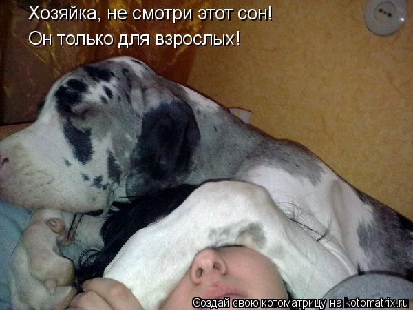 Котоматрица: Хозяйка, не смотри этот сон! Он только для взрослых!