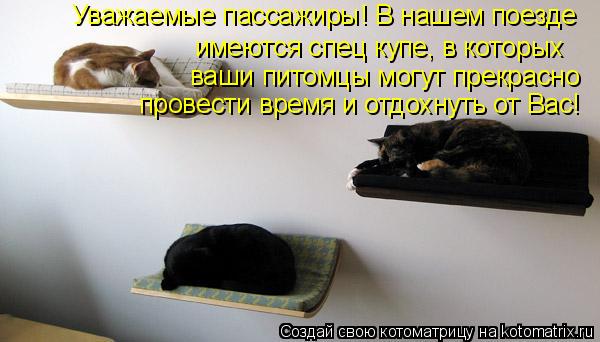 Уважаемые пассажиры! В нашем поезде имеются спец купе, в которых ваши питомцы могут прекрасно провест... Котоматрица: Уважаемые пассажиры! В нашем поезде имеются спец купе, в которых ваши питомцы могут прекрасно провести время и отдохнуть от Вас!