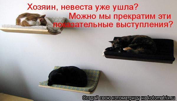 Хозяин, невеста уже ушла? Можно мы прекратим эти показательные выступления?... Котоматрица: Хозяин, невеста уже ушла? Можно мы прекратим эти показательные выступления?