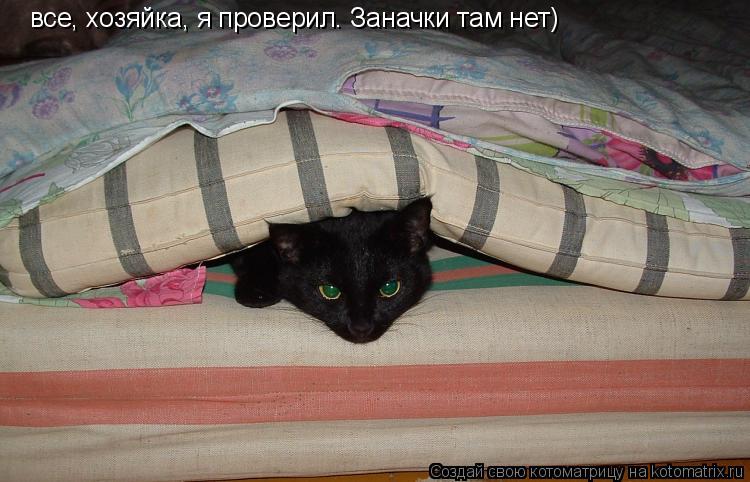Котоматрица: все, хозяйка, я проверил. Заначки там нет)