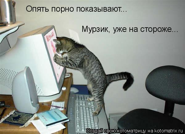 Котоматрица: Опять порно показывают... Мурзик, уже на стороже...