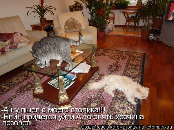 Котоматрица: -А ну пшел с моего столика!!! -Блин,придется уйти.А то опять хозяина  позовет...