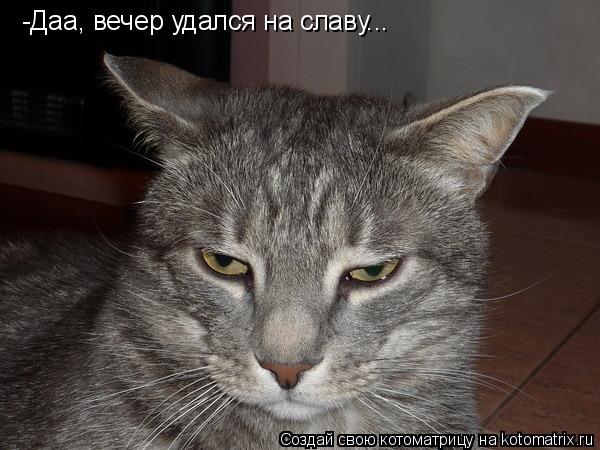 Котоматрица: -Даа, вечер удался на славу...