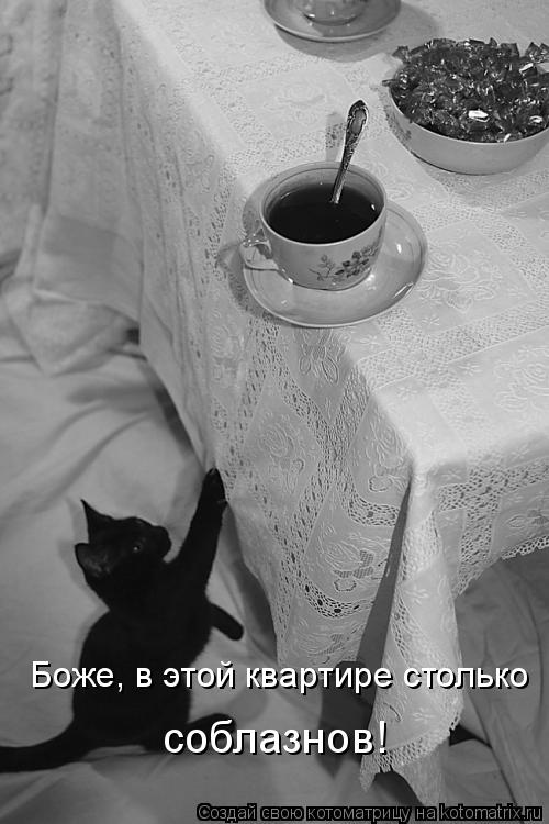 Боже, в этой квартире столько соблазнов!... Котоматрица: Боже, в этой квартире столько соблазнов!