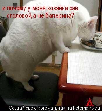 Котоматрица: и почему у меня хозяйка зав.   столовой,а не балерина?