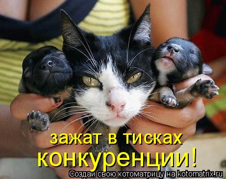 зажат в тисках конкуренции!... Котоматрица: зажат в тисках конкуренции!