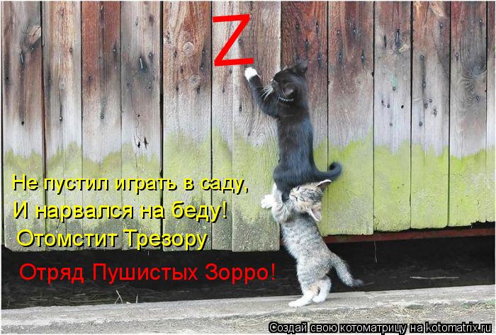 Z Не пустил играть в саду, И нарвался на беду! Отомстит Трезору Отряд Пушистых Зорро!... Котоматрица: Z Не пустил играть в саду, И нарвался на беду! Отомстит Трезору Отряд Пушистых Зорро!