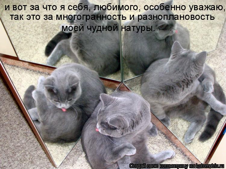 и вот за что я себя, любимого, особенно уважаю, так это за многогранность и разноплановость моей чу... Котоматрица: и вот за что я себя, любимого, особенно уважаю, так это за многогранность и разноплановость моей чудной натуры.
