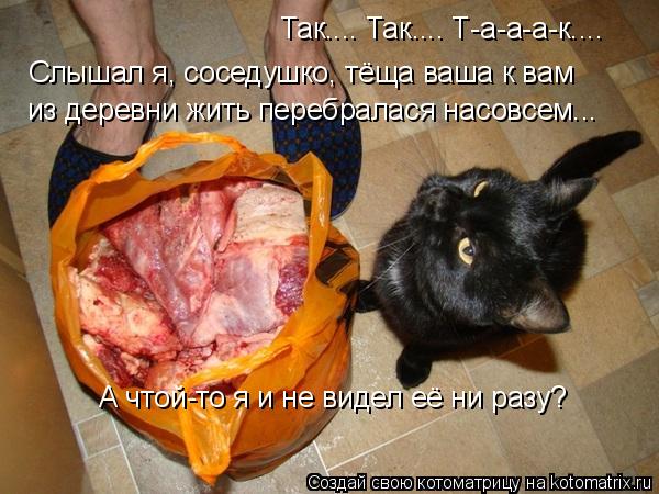 Котоматрица: Так.... Так.... Т-а-а-а-к.... Слышал я, соседушко, тёща ваша к вам из деревни жить перебралася насовсем... А чтой-то я и не видел её ни разу?