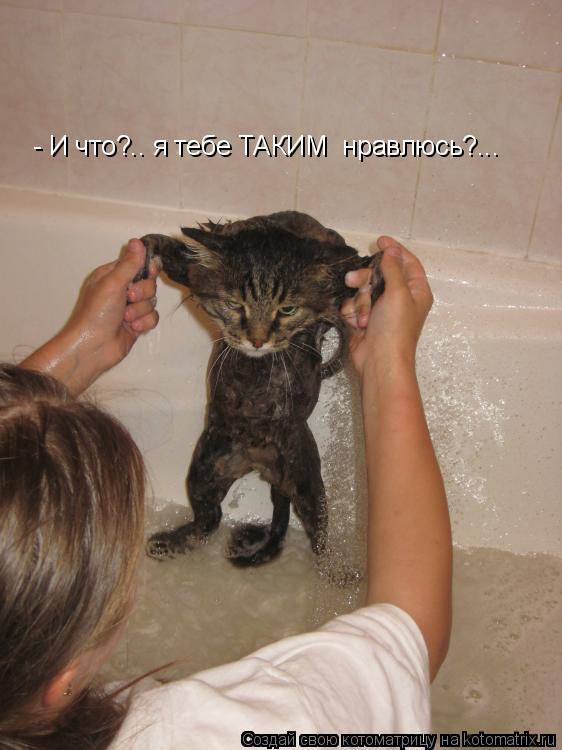 Котоматрица: - И что?.. я тебе ТАКИМ  нравлюсь?...
