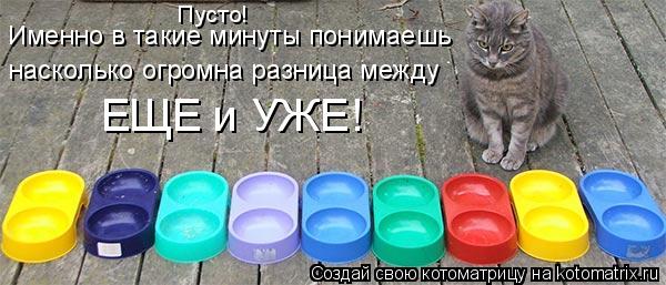 Котоматрица: Именно в такие минуты понимаешь насколько огромна разница между ЕЩЕ и УЖЕ! Пусто!
