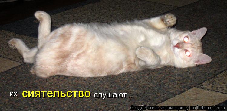 Котоматрица: их  сиятельство слушают...