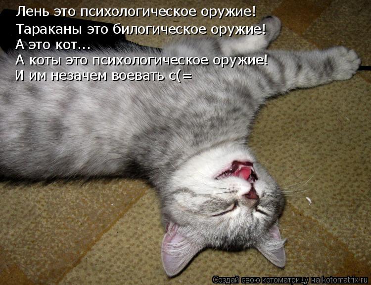 Котоматрица: Лень это психологическое оружие! Тараканы это билогическое оружие! А это кот... А коты это психологическое оружие! И им незачем воевать с(=