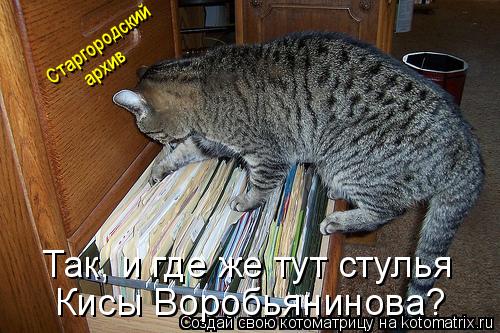 Старгородский архив Кисы Воробьянинова? Так, и где же тут стулья... Котоматрица: Старгородский архив Кисы Воробьянинова? Так, и где же тут стулья