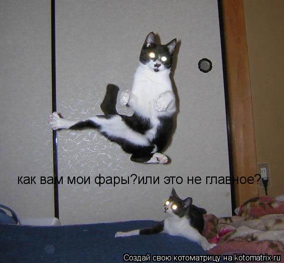 Котоматрица: как вам мои фары?или это не главное?