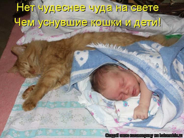 Котоматрица: Нет чудеснее чуда на свете Чем уснувшие кошки и дети!