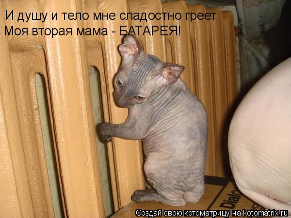 И душу и тело мне сладостно греет Моя вторая мама - БАТАРЕЯ!... Котоматрица: И душу и тело мне сладостно греет Моя вторая мама - БАТАРЕЯ!