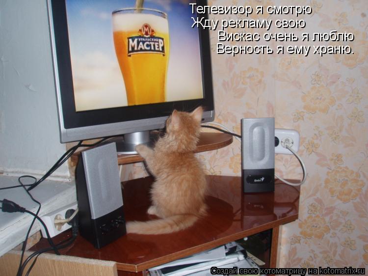 Котоматрица: Телевизор я смотрю  Жду рекламу свою Вискас очень я люблю Верность я ему храню.