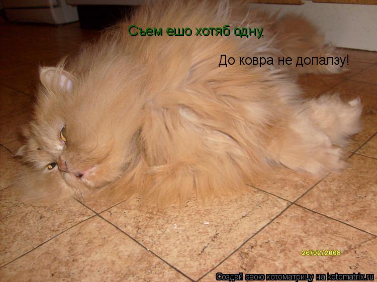Котоматрица: Съем ешо хотяб одну, До ковра не допалзу!