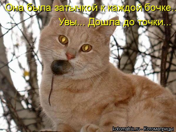 Котоматрица: Она была затычкой к каждой бочке... Увы... Дошла до точки...