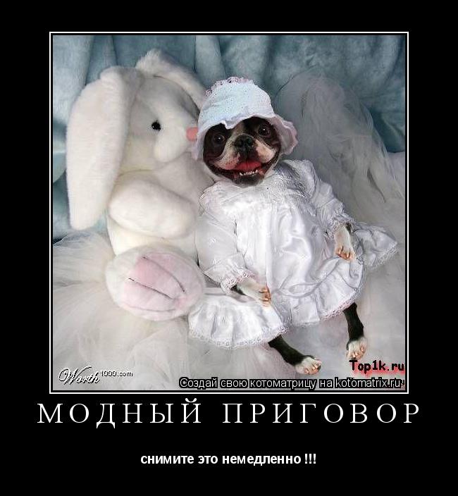 Котоматрица: модный приговор снимите это немедленно !!!