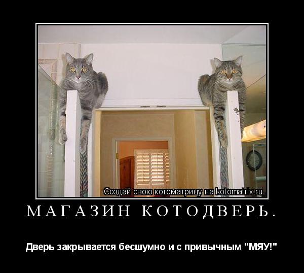 Котоматрица: Магазин Котодверь. Дверь закрывается бесшумно и с привычным "МЯУ!"