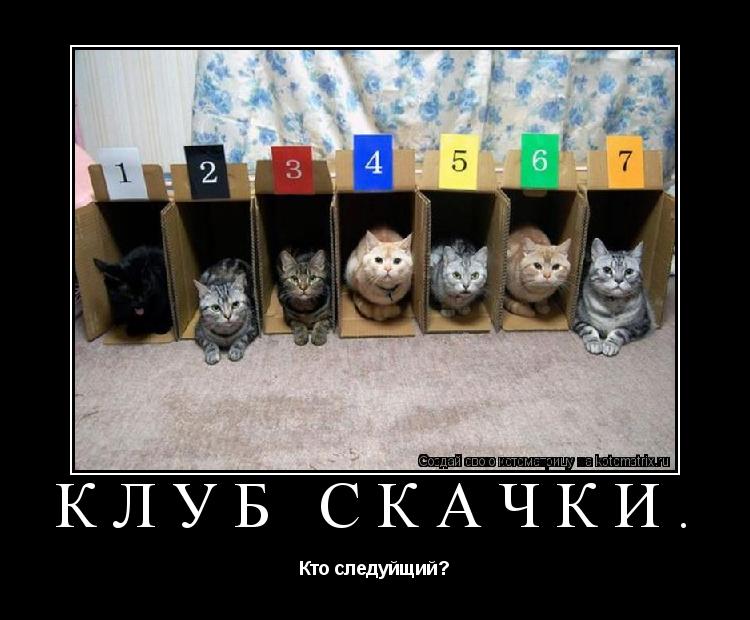 Котоматрица: Клуб Скачки. Кто следуйщий?